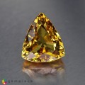 Natural Grossular garnet 4.59 Carats Yellow Trilliant  11x9 mm Loose Gemstone - Image 1