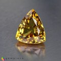 Natural Grossular garnet 4.59 Carats Yellow Trilliant  11x9 mm Loose Gemstone - Image 3