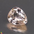 Natural Morganite 7.76 Carats Light Peach Pear 13x11 mm Loose Gemstone - Image 7
