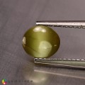 Natural Chrysoberyl cats eye 2.02 Carats Yellow Oval Cabochon 7x6 mm Loose Gemstone - Image 2