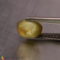 Natural Chrysoberyl cats eye 2.02 Carats Yellow Oval Cabochon 7x6 mm Loose Gemstone - Image 3