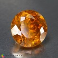 Natural Sphalerite 14.92 Carats Golden Yellow Round 14x10 mm Loose Gemstone - Image 1