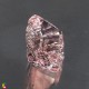 morganite image