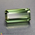 Natural Apatite 14.92 Carats Hunter Green Emerald Cut 23x10 mm Loose Gemstone - Image 1