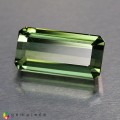 Natural Apatite 14.92 Carats Hunter Green Emerald Cut 23x10 mm Loose Gemstone - Image 2