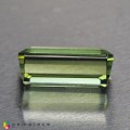 Natural Apatite 14.92 Carats Hunter Green Emerald Cut 23x10 mm Loose Gemstone - Image 3