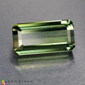 Natural Apatite 14.92 Carats Hunter Green Emerald Cut 23x10 mm Loose Gemstone - Image 5