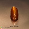 Natural Opal cats eye 9.78 Carats Orange Oval Cabochon 19x9 mm Loose Gemstone - Image 1
