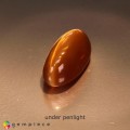 Natural Opal cats eye 9.78 Carats Orange Oval Cabochon 19x9 mm Loose Gemstone - Image 3