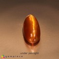 Natural Opal cats eye 9.78 Carats Orange Oval Cabochon 19x9 mm Loose Gemstone - Image 4