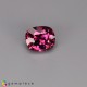 malaya garnet Malaya Garnet image