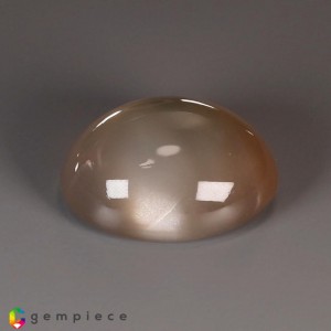 Golden Star Moonstone  12.01cts - 17x13mm Golden Star Moonstone  12.01cts - 17x13mm