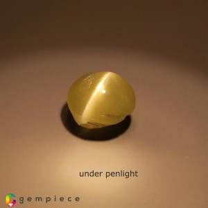 chrysoberyl cats eye  1.28cts - 6x4mm