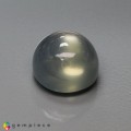 Natural Moonstone 11.83 Carats Moss Green Round Cabochon 13x9 mm Loose Gemstone - Image 2