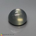 Natural Moonstone 11.83 Carats Moss Green Round Cabochon 13x9 mm Loose Gemstone - Image 3