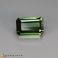 Natural Tourmaline 5.97 Carats Forest Green Emerald 12x8 mm Loose Gemstone - Image 1