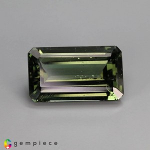 apatite  13.94cts - 19x11mm