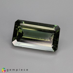 apatite  13.94cts - 19x11mm