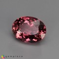 Natural Tourmaline 1.43 Carats Pink Oval 8x6 mm Loose Gemstone - Image 2