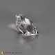 Petalite image