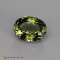 Natural Tourmaline 5.26 Carats Olive Green Oval 12x9 mm Loose Gemstone - Image 3