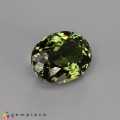 Natural Tourmaline 5.26 Carats Olive Green Oval 12x9 mm Loose Gemstone - Image 5
