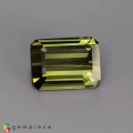 Natural Tourmaline 5.67 Carats Olive Green Emerald Cut 12x9 mm Loose Gemstone - Image 1