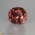 Natural Tourmaline 43.02 Carats Vivid Pink Oval 21x20 mm Loose Gemstone - Image 2