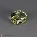 Natural Amblygonite 1.59 Carats Yellowish Green Oval 9x7 mm Loose Gemstone - Image 4