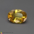 Natural Sapphire 2.65 Carats Golden Yellow Oval 10x7 mm Loose Gemstone - Image 2