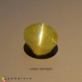 Natural Chrysoberyl cats eye 2.14 Carats Yellow Oval Cabochon 7x6 mm Loose Gemstone - Image 1