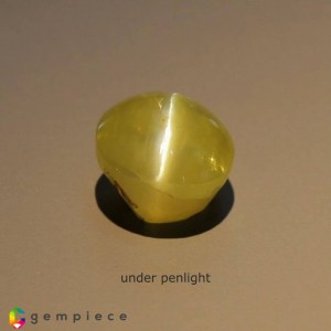 chrysoberyl cats eye  2.14cts - 7x6mm