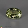 Natural Amblygonite 1.76 Carats Yellowish Green Oval 9x7 mm Loose Gemstone - Image 3