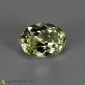 Natural Amblygonite 1.76 Carats Yellowish Green Oval 9x7 mm Loose Gemstone - Image 1