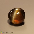 Natural Chrysobeyl cats eye 10.65 Carats Honey Round Cabochon 12x8 mm Loose Gemstone - Image 1