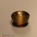 Natural Chrysobeyl cats eye 10.65 Carats Honey Round Cabochon 12x8 mm Loose Gemstone - Image 4