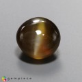 Natural Chrysobeyl cats eye 10.65 Carats Honey Round Cabochon 12x8 mm Loose Gemstone - Image 2