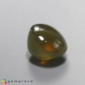 Natural Chrysobeyl cats eye 10.65 Carats Honey Round Cabochon 12x8 mm Loose Gemstone - Image 5