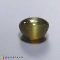 Natural Chrysobeyl cats eye 10.65 Carats Honey Round Cabochon 12x8 mm Loose Gemstone - Image 6