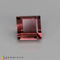 Natural Tourmaline 1.46 Carats Pink Square  6x4 mm Loose Gemstone - Image 5