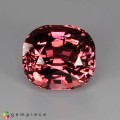 Natural Tourmaline 72.39 Carats Pink Cushion 25x23 mm Loose Gemstone - Image 1