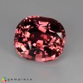 Natural Tourmaline 72.39 Carats Pink Cushion 25x23 mm Loose Gemstone - Image 2