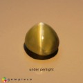 Natural Chrysoberyl cats eye 1.21 Carats Yellow Oval Cabochon 6x5 mm Loose Gemstone - Image 1