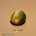 Natural Chrysoberyl cats eye 1.21 Carats Yellow Oval Cabochon 6x5 mm Loose Gemstone - Image 5