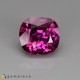 pink sapphire Sapphire image