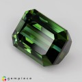 Natural Tourmaline 28.01 Carats Fine Green Emerald 18x14 mm Loose Gemstone - Image 3
