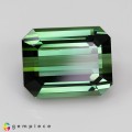 Natural Tourmaline 28.01 Carats Fine Green Emerald 18x14 mm Loose Gemstone - Image 7