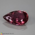 Natural Tourmaline 21.99 Carats Pink Pear 26x16 mm Loose Gemstone - Image 2
