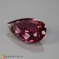 Natural Tourmaline 21.99 Carats Pink Pear 26x16 mm Loose Gemstone - Image 1