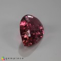 Natural Tourmaline 21.99 Carats Pink Pear 26x16 mm Loose Gemstone - Image 5